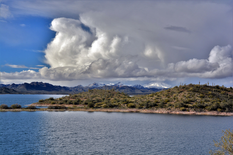 snow-capped mtns